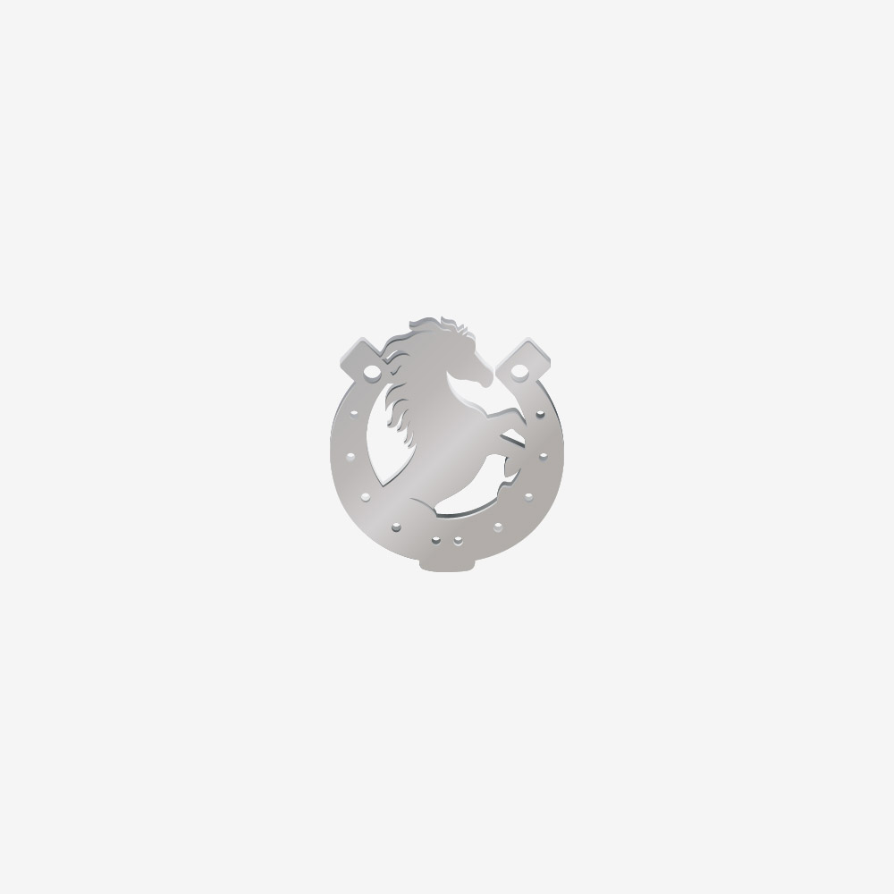DIJE ACERO HERRADURA CABALLO PLATEADO 20*19MM *1MM 2 AGUJEROS